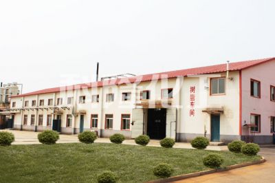 企業(yè)風采